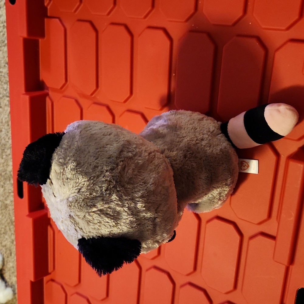 $1/Bundled- Rocco Raccoon Ty - Picture 2 of 4